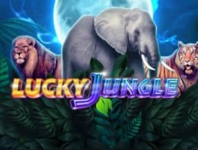 polder casino 100 free spins